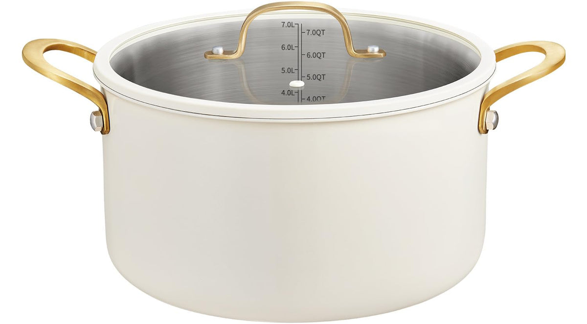 BEZIA 12 Quart Full Clad Try-Ply Stainless Steel Stock Pot, Induction Ready