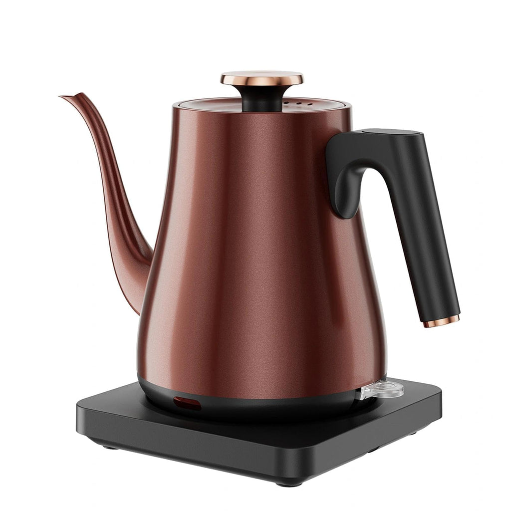 Tuehakny Gooseneck Electric Kettle 1L, 1000W Stainless Steel, Black