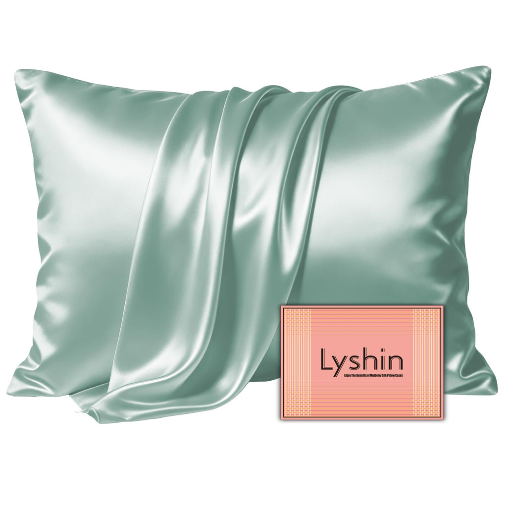LYSHIN Silk Pillow Cases 2 Pack King Size with Zipper, Champagne