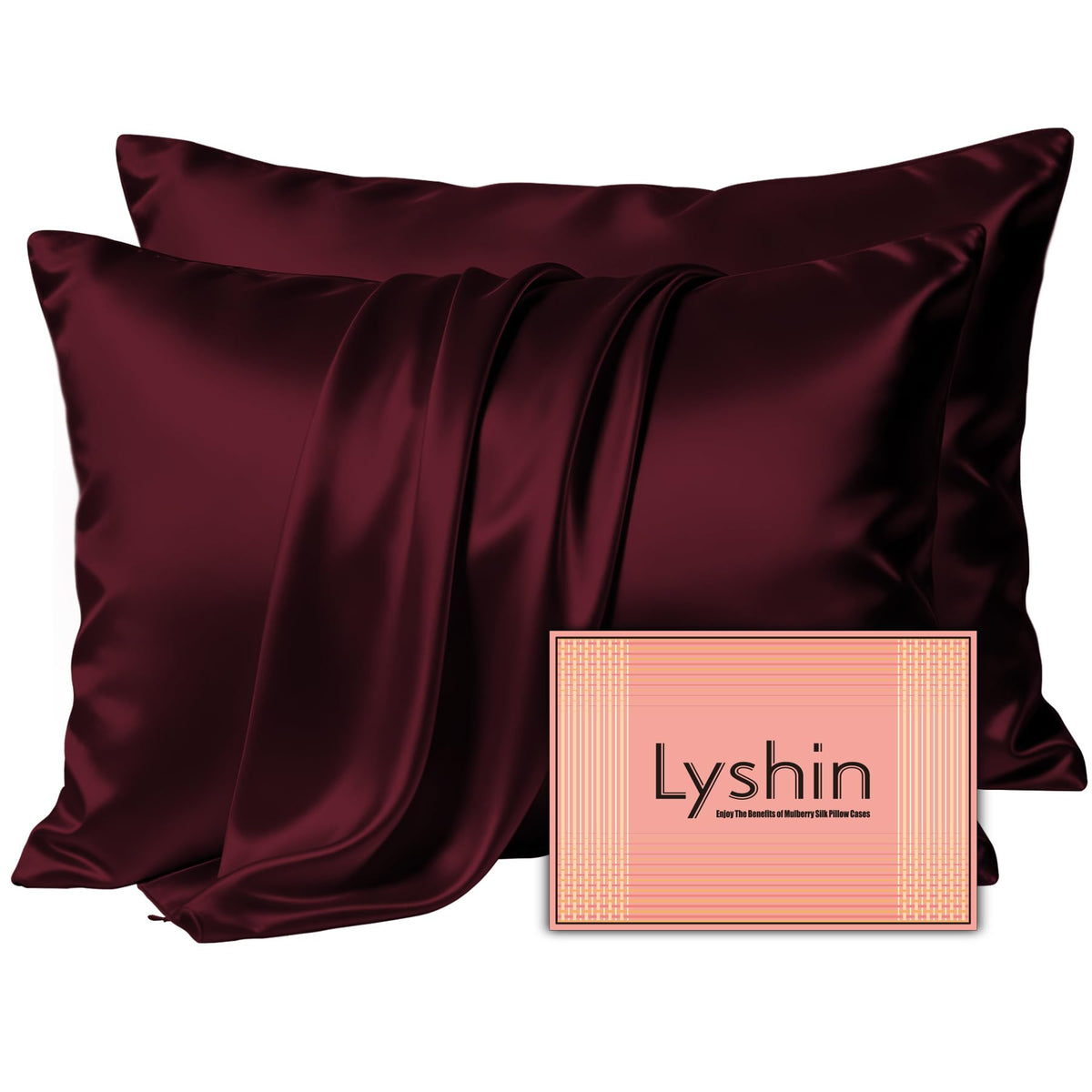 LYSHIN Silk Pillow Cases 2 Pack King Size with Zipper, Champagne