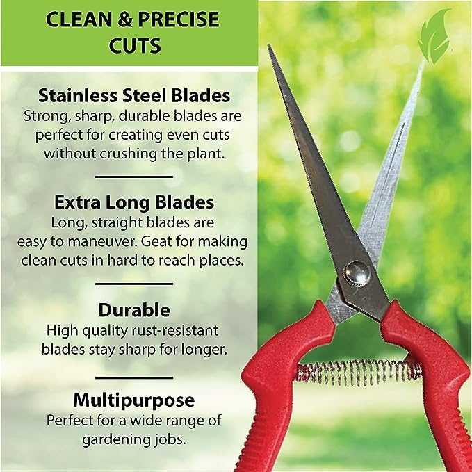 Garden Guru Straight Stainless Steel Pruner Pruning Shears Clippers Snips Sharp Bonsai Cutter Plant Trimming Scissor Straight Blade Garden Scissors Tool -Great for Roses Flowers Herbs Fruits (4 Pack)