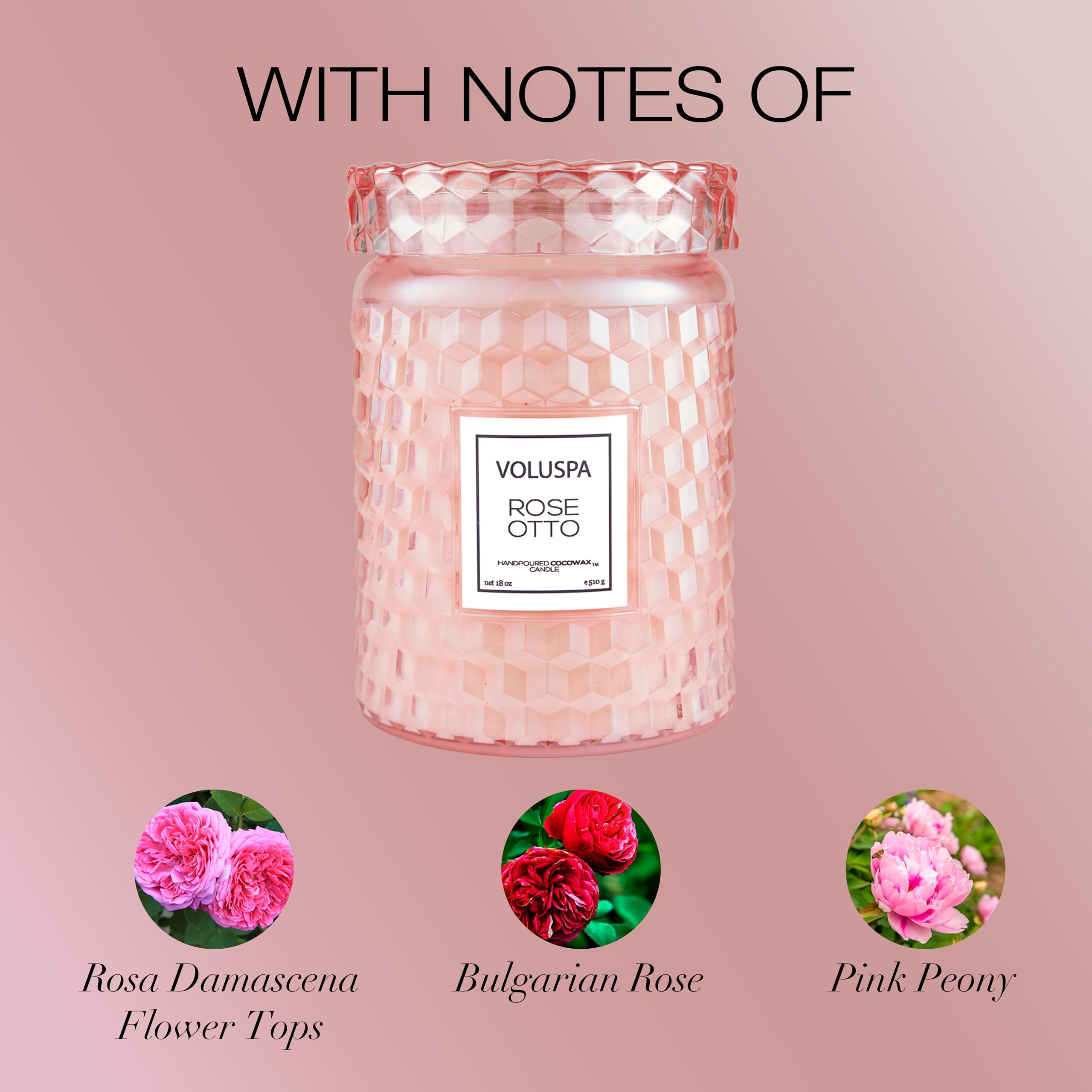 Voluspa Rose Otto, Large Candle Jar, 18 Ounce, 100 Hour Burn Time, Coconut Wax for Clean Burning, Handcrafted in the USA