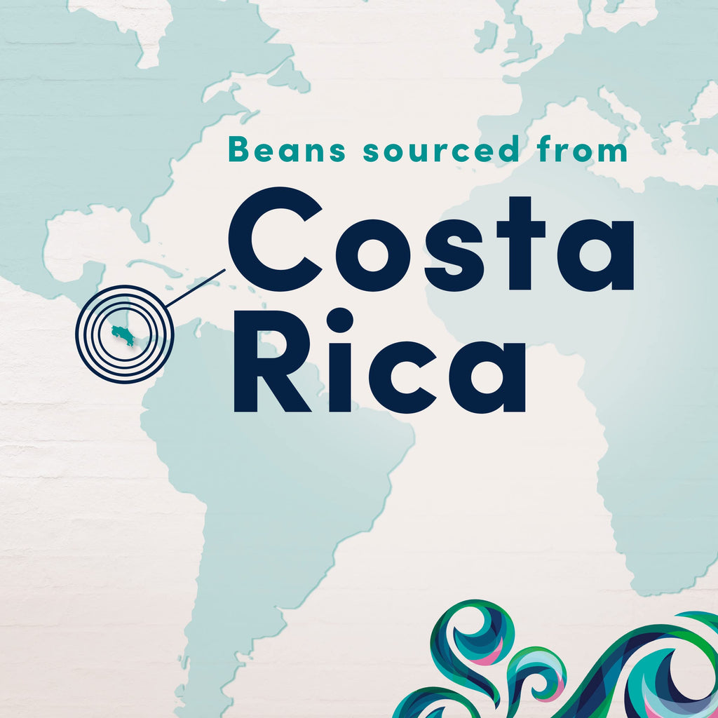 10Z GEVALIA COSTA RICA