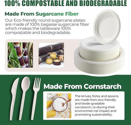 250 Pcs Biodegradable Paper Plates Set Disposable Dinnerware