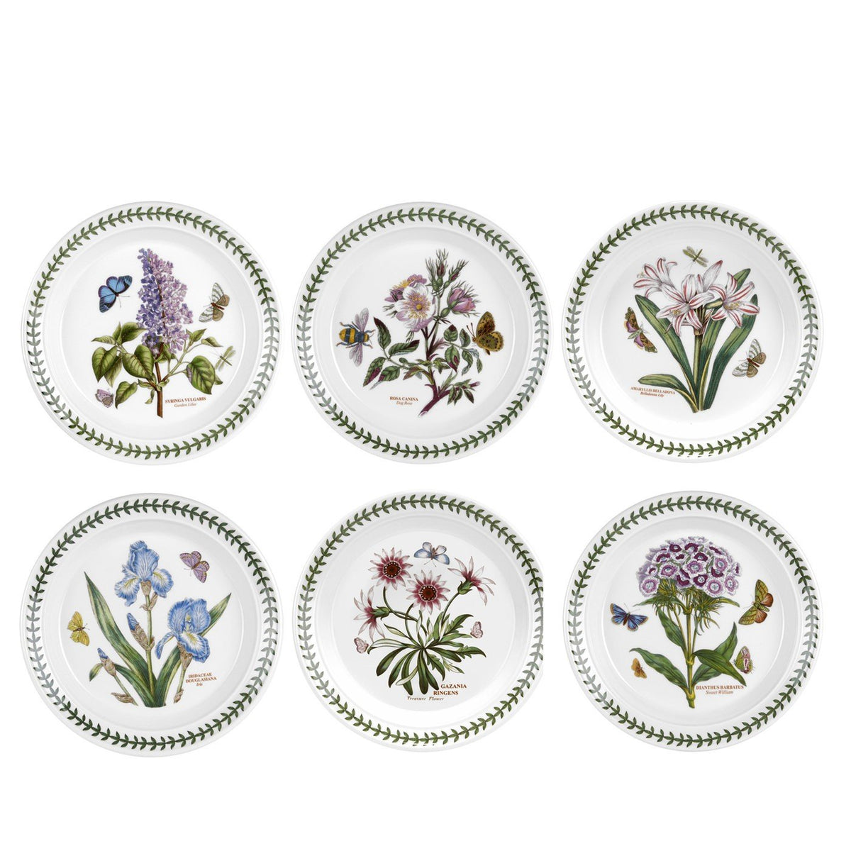 Portmeirion Botanic Garden Salad Plates, Set of 6 Assorted Motifs