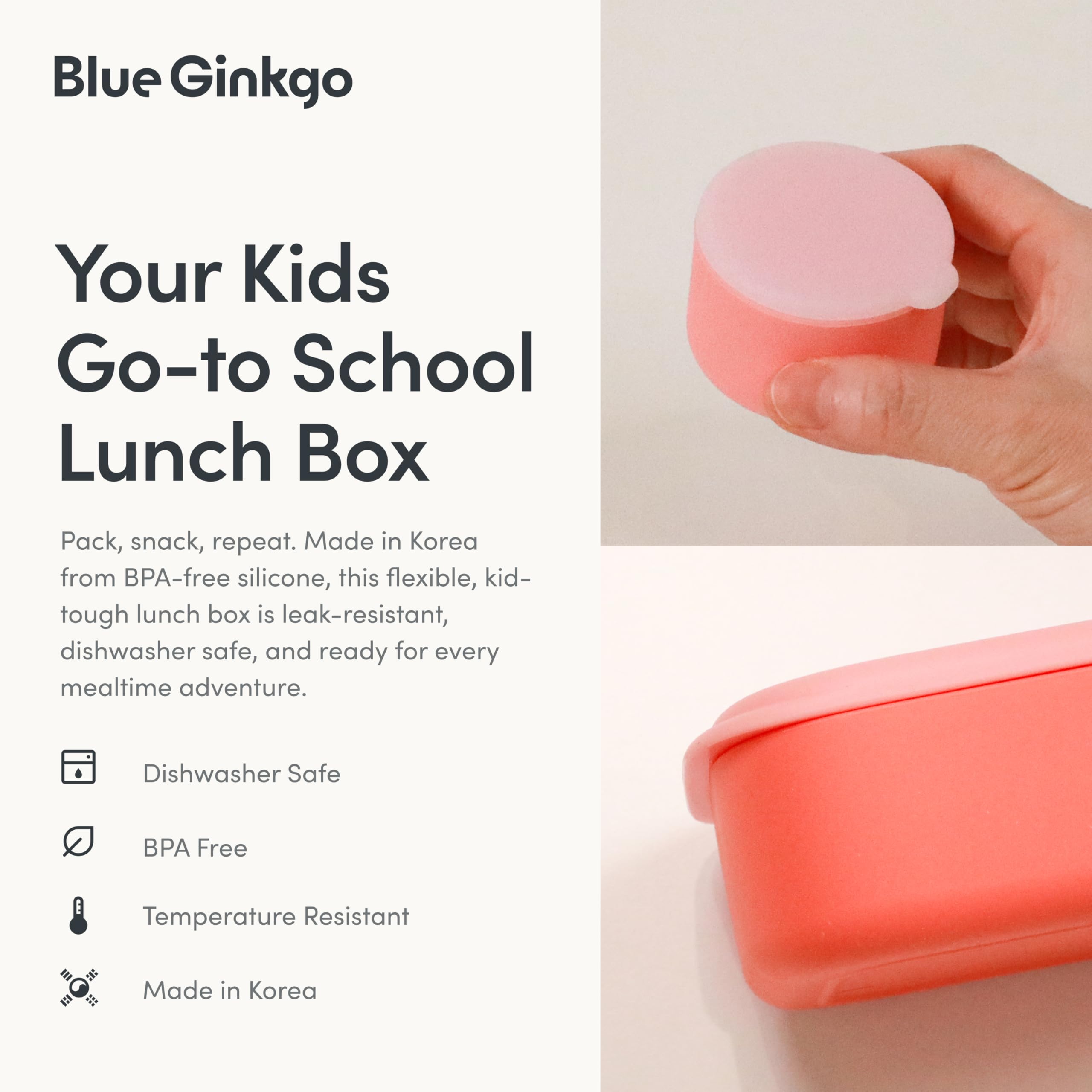 BLUE GINKGO Bento-Style Silicone Lunch Box Set, Coral, Made in Korea