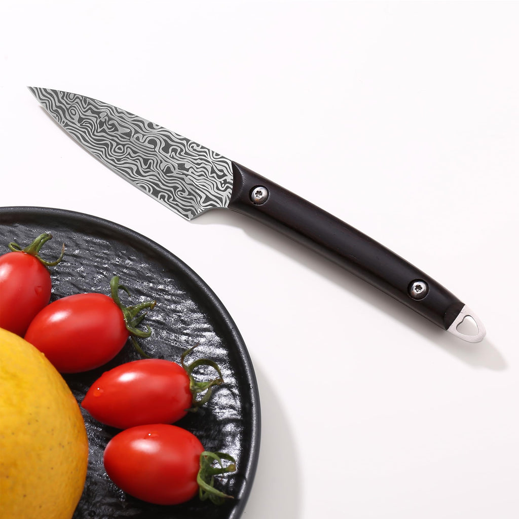 WILDMOK Fruit Knife Carving knives Stainless Steel 3.3 Inch Utility Knife Fruit and Vegetable Cutting Paring Kitchen Knife with Leather Case (B)