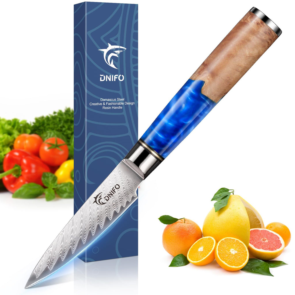 Dnifo Paring Knife 3.5 Inch, Japanese VG-10 Steel Damascus Knife