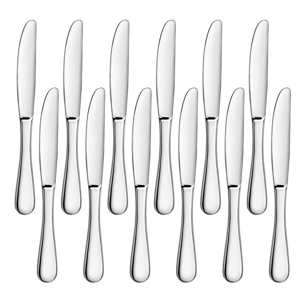 Artaste Rain 18/10 Stainless Steel Dinner Knife, 9.15-Inch, Set of 12