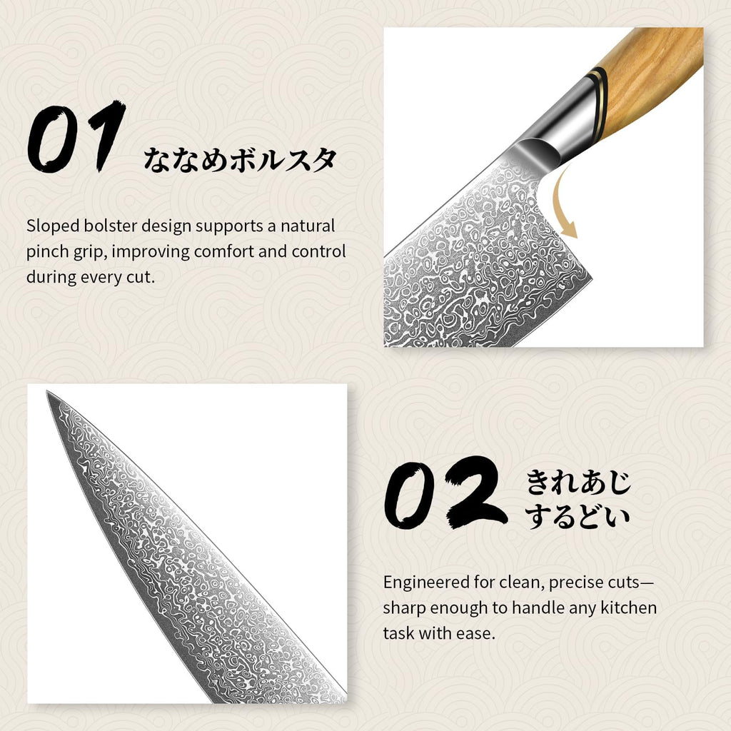 TIVOLI Damascus Chef Knife – Japanese VG10 Professional Kitchen Knife