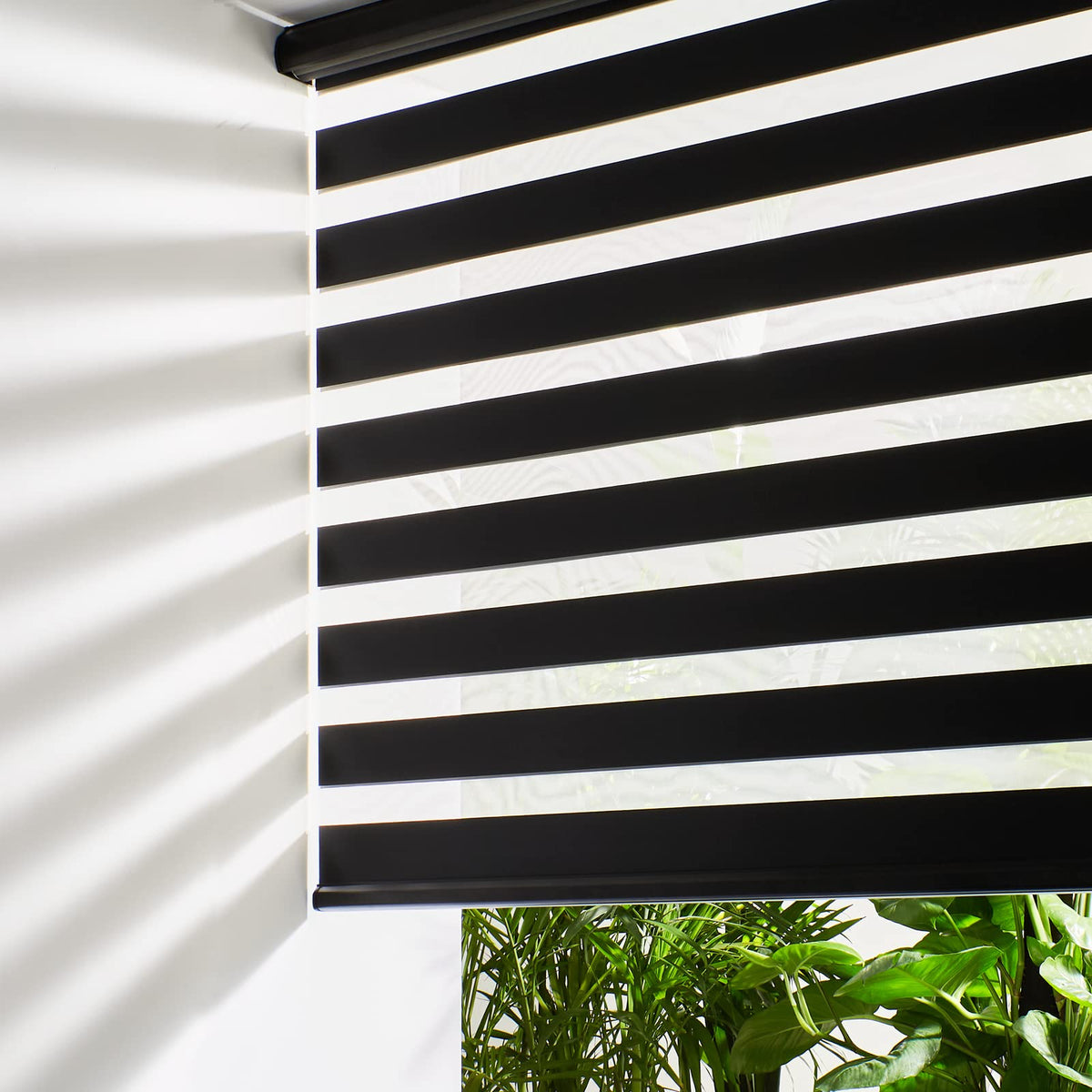 Persilux Cordless Zebra Blinds for Windows Free-Stop Roller Windows Shades (46" W X 72" H, White) Dual Layer Light Control for Day and Night, Light Filtering Sheer Shades for Home, Easy to Install