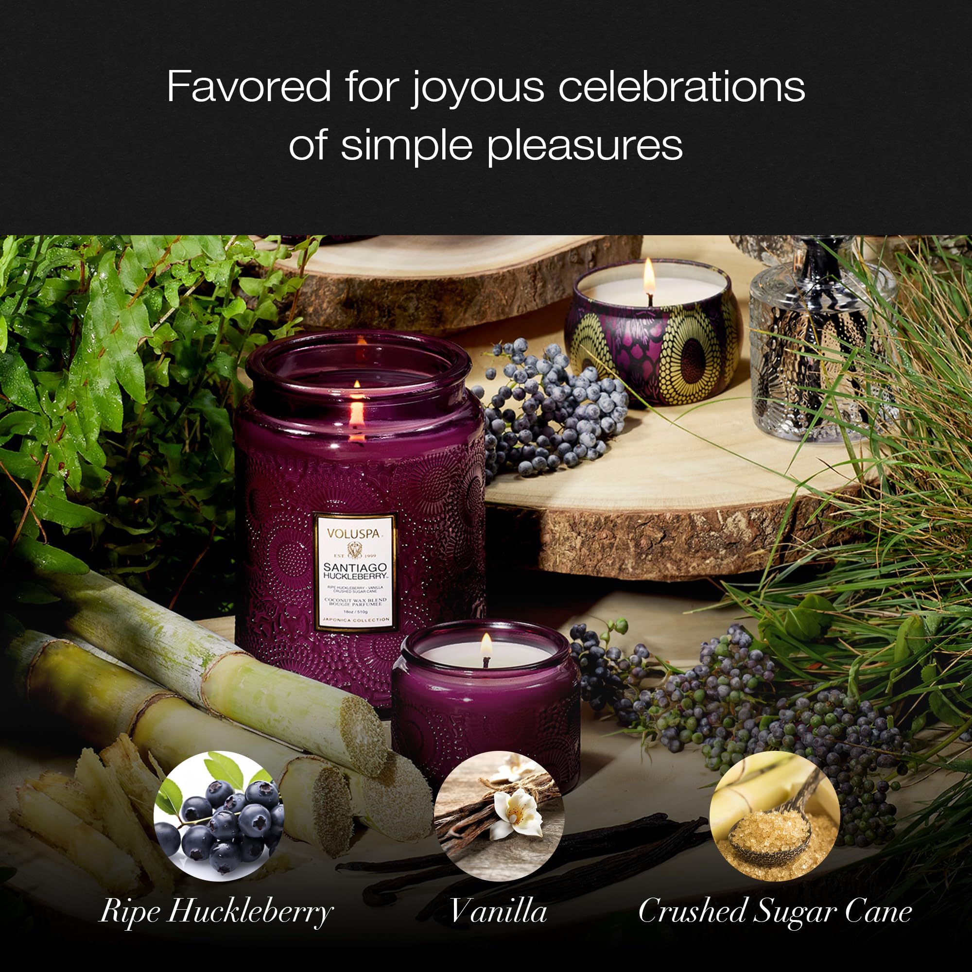Voluspa Santiago Huckleberry, Large Candle Jar, 18 oz, 100 Hour Burn Time, All Natural Wicks and Coconut Wax for Clean Burning, Vegan, Poured in The USA