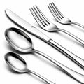 NICE KITCHEN 60 Piece Silverware Set for 12