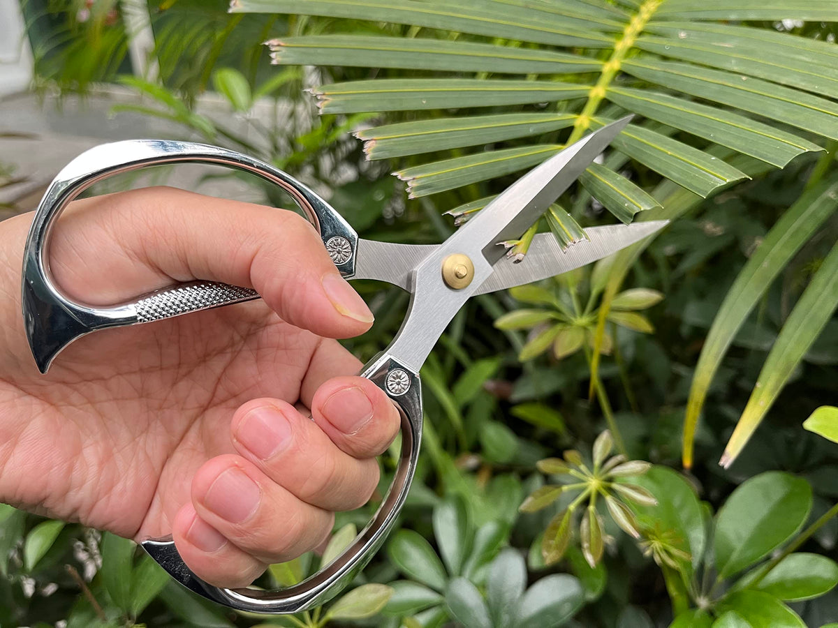Horsvill Indoor Plant Shears and Garden Scissors, Houseplant Shears Made of Japan SK5 Stainless Steel, Flowers Herbs and Plant Cutters, Clippers, Trimmers, Loppers, Bonsai Plant Pruning Scissors