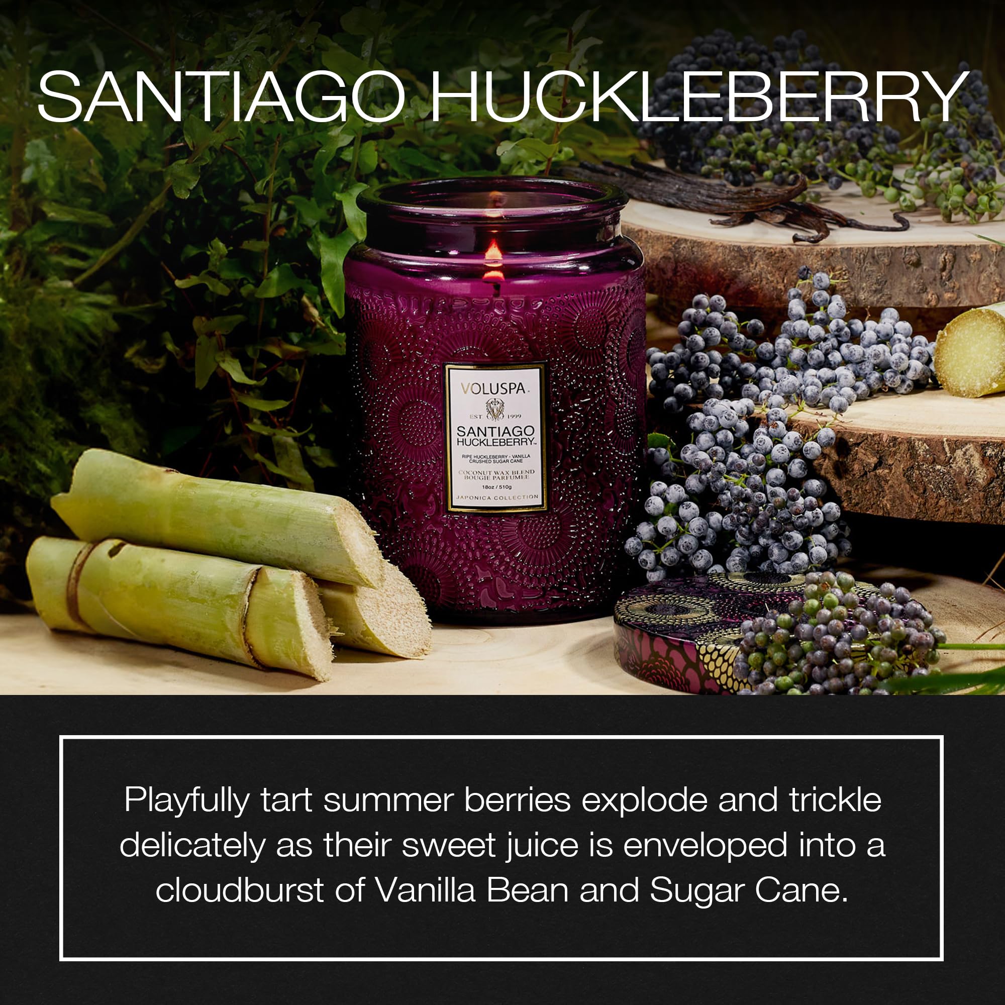 Voluspa Santiago Huckleberry, Large Candle Jar, 18 oz, 100 Hour Burn Time, All Natural Wicks and Coconut Wax for Clean Burning, Vegan, Poured in The USA