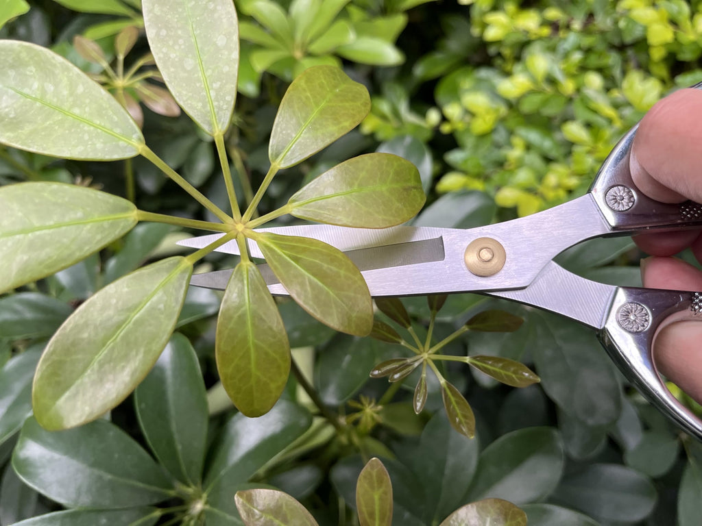 Horsvill Indoor Plant Shears and Garden Scissors, Houseplant Shears Made of Japan SK5 Stainless Steel, Flowers Herbs and Plant Cutters, Clippers, Trimmers, Loppers, Bonsai Plant Pruning Scissors