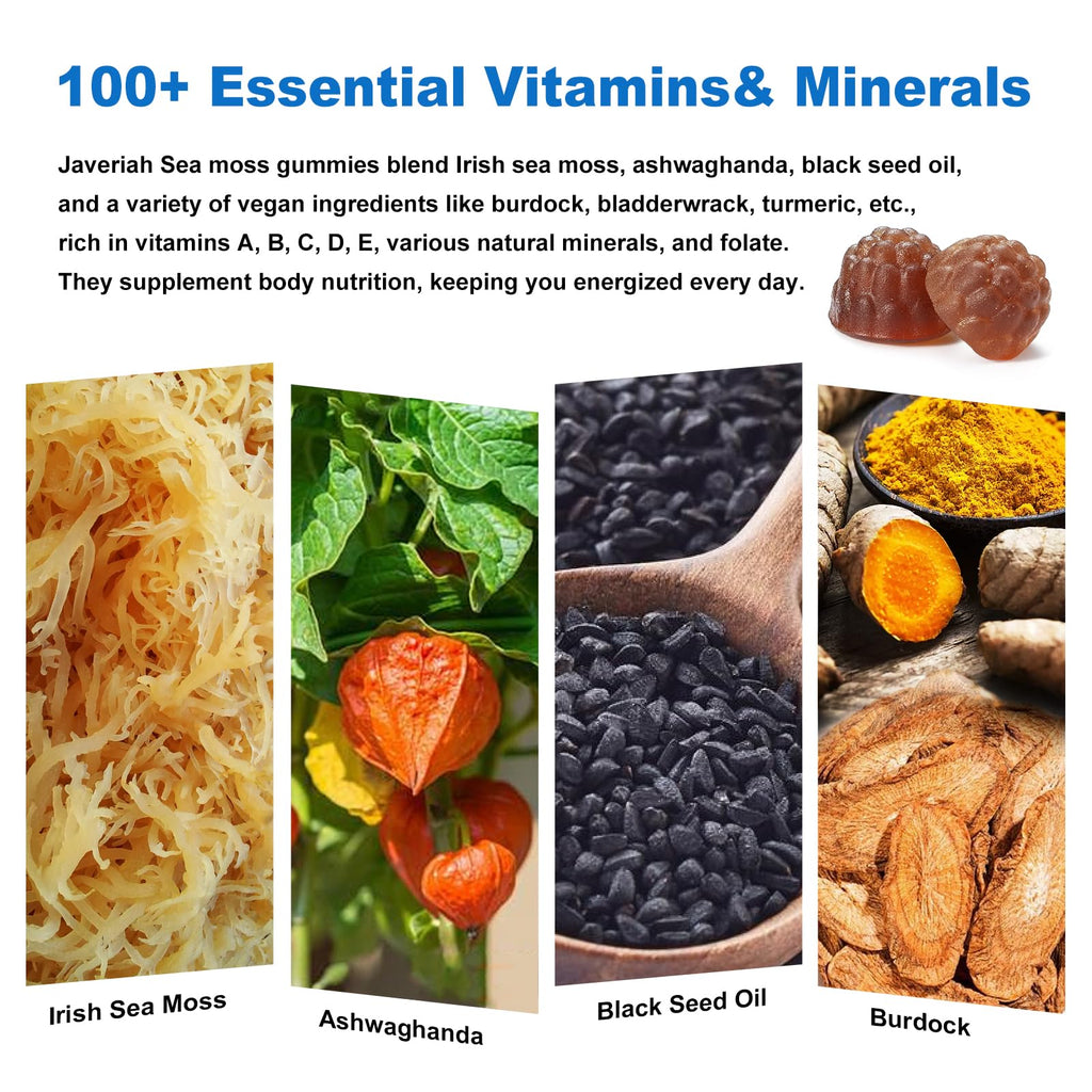 Vegan Ashwagandha Sea Moss Gummies - Black Seed Oil, Vitamin C&D for Immune Support, Digestive, Antioxidant 13 in 1 Bundle, Sea Moss Chlorophyll Advanced Strength Formula 2Pack 120 Gummies