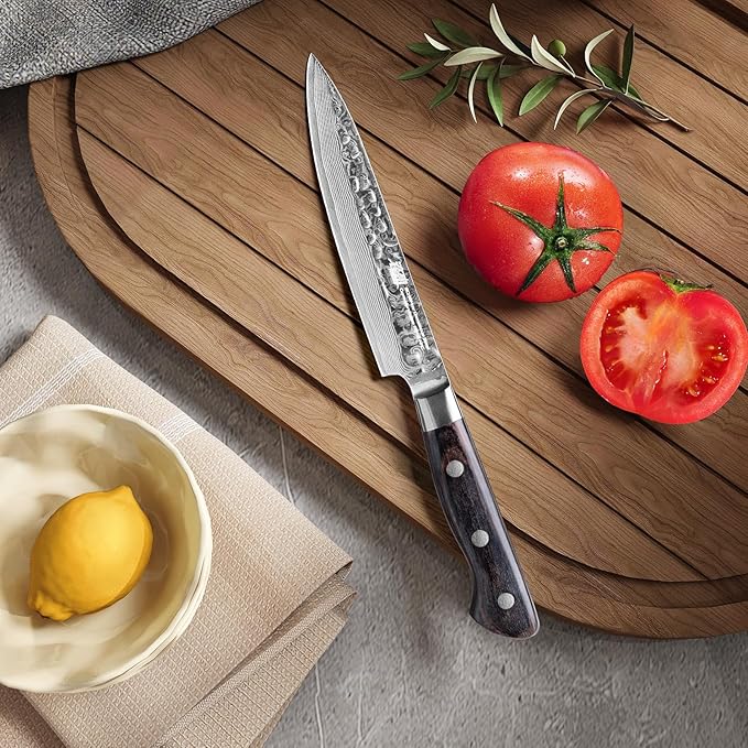 FINDKING Paring Knife 5 Inch, Damascus Small Kitchen Utility Knife for Fruit, Prep & Travel Use (Raven Series)