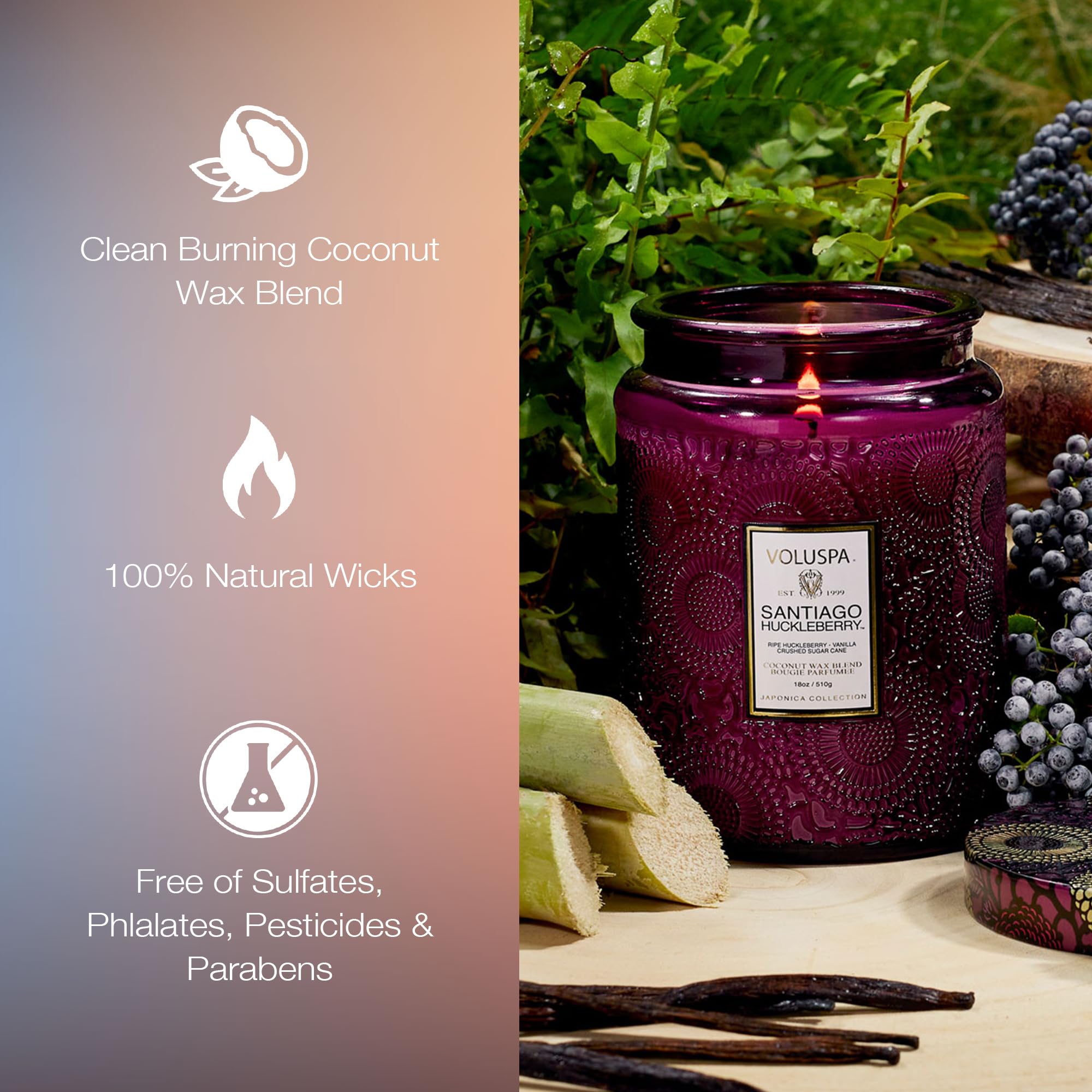 Voluspa Santiago Huckleberry, Large Candle Jar, 18 oz, 100 Hour Burn Time, All Natural Wicks and Coconut Wax for Clean Burning, Vegan, Poured in The USA