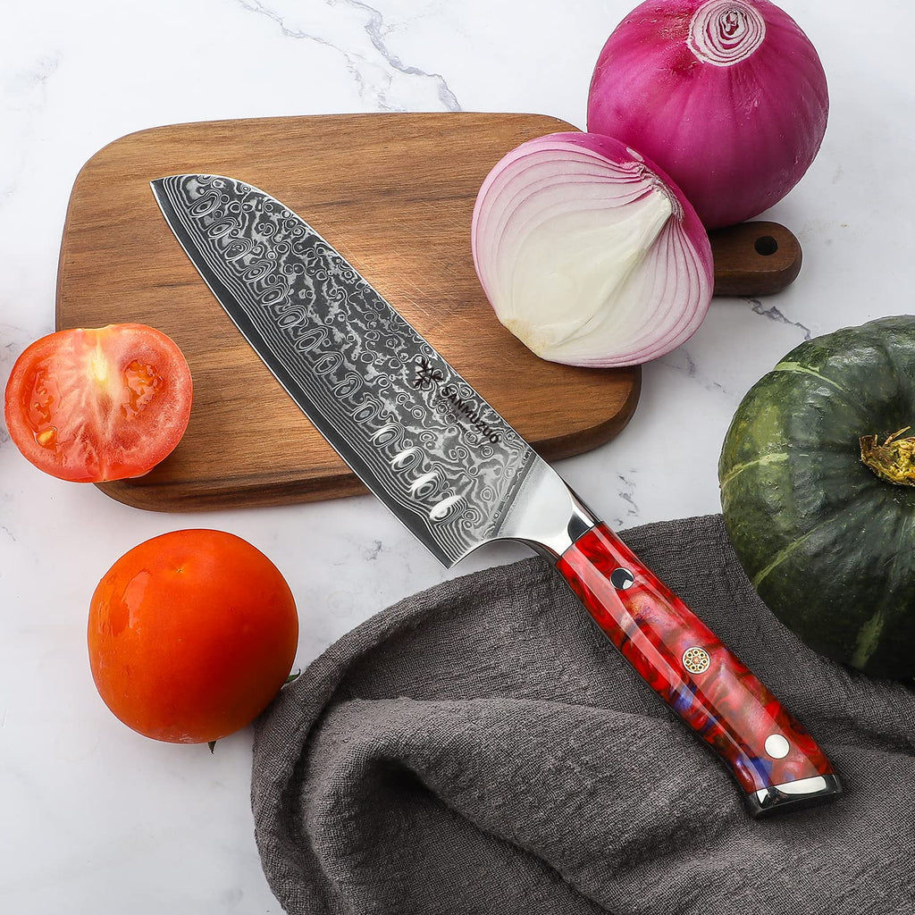 SANMUZUO Chef Cooking Knives Set- Kitchen Knife Set of 5 Piece - Ultra-Sharp VG10 Damascus Steel & Resin Handle - Xuan Series (Sunset Red)