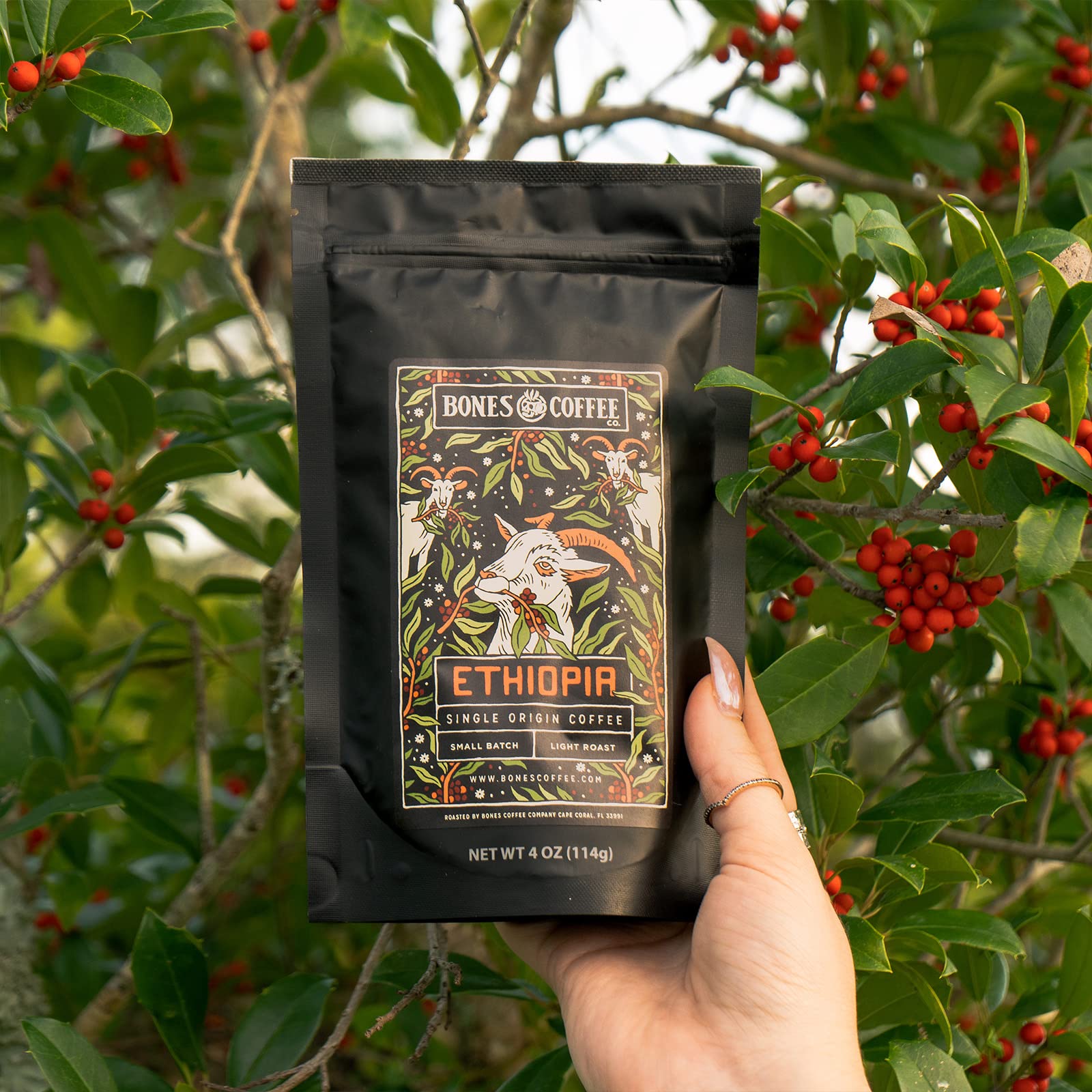 Bones Coffee Company NEW World Tour Sample Pack, Single-Origin Flavored Coffee Low Acid Medium Roast Arabica Beans Specialty Coffee Gifts Compatible Auto Drip and French Press, 4 oz Pack of 5 Ground