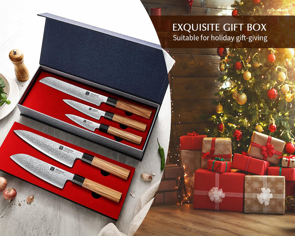 XINZUO 5 Pieces Kitchen Knife Set without Block, Hand Forged 67 Layers Damascus Steel Professional Chef Knife Set,Ultra Sharp,Olive Wood Octagonal Handle