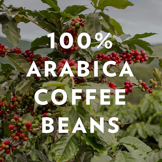 Community Coffee Café Special Blend, Ground Coffee, Medium Dark Roast, 12 Ounce Bag (Pack of 1)