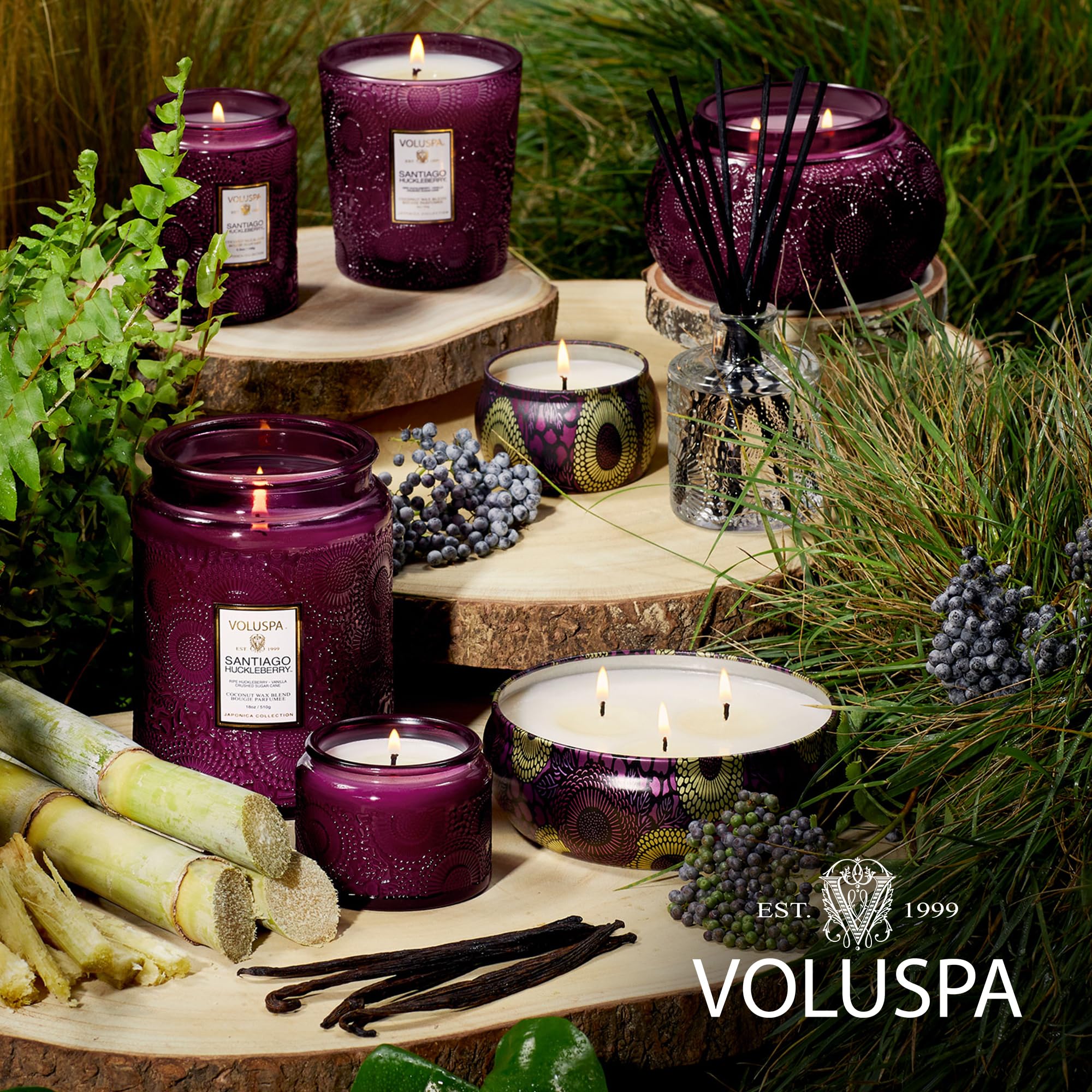 Voluspa Santiago Huckleberry, Large Candle Jar, 18 oz, 100 Hour Burn Time, All Natural Wicks and Coconut Wax for Clean Burning, Vegan, Poured in The USA
