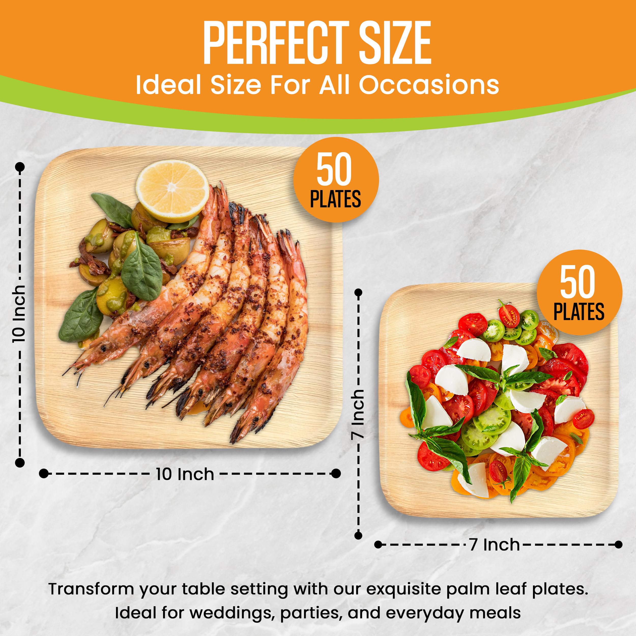 Raj Palm Leaf 10" & 7" Square Plates, 100 Count (2 cases) Bulk Pack